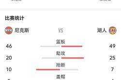 尼克斯战绩落后，前途未卜！的简单介绍